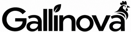 Gallinova