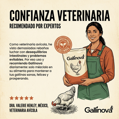 Grano Gallinas